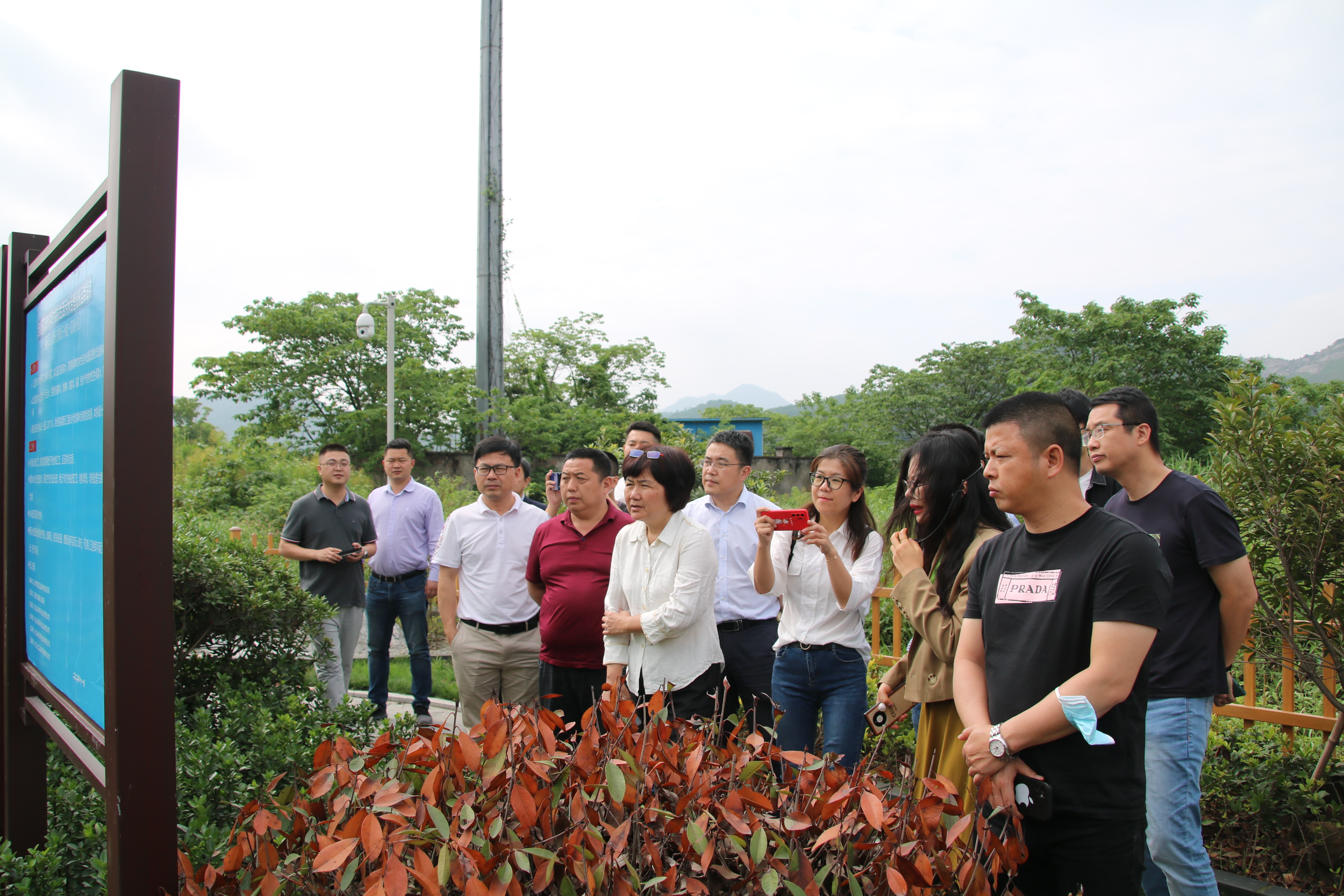 2021年5月17日，厦门市市政园林局总工程师王艳艳一行考察免费8455新葡萄娱乐场湖埠村农污项目。